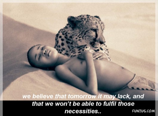 The Theory of Emptiness!