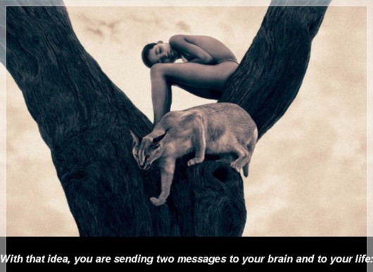 The Theory of Emptiness!