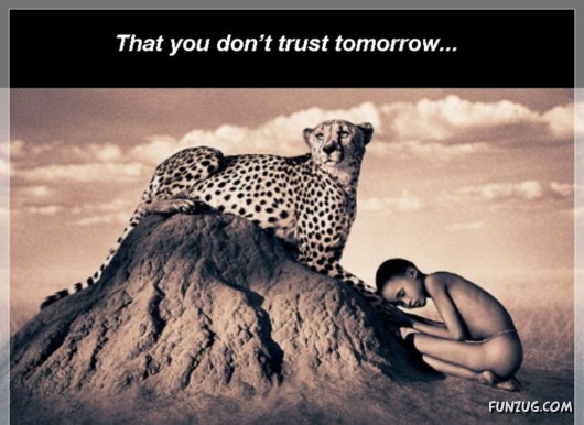 The Theory of Emptiness!