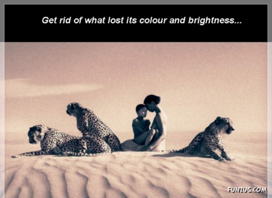 The Theory of Emptiness!