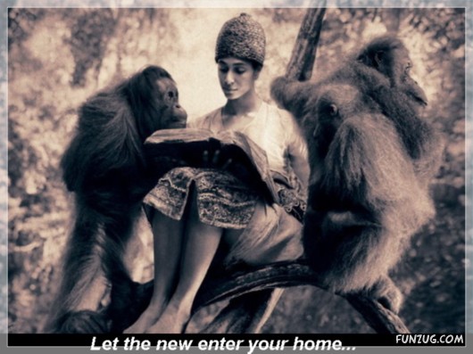 The Theory of Emptiness!