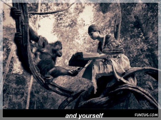 The Theory of Emptiness!