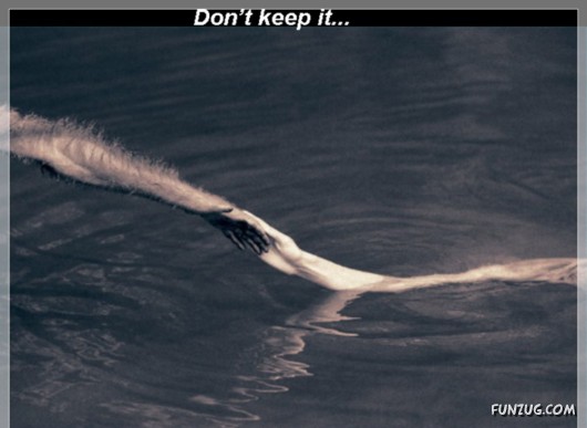 The Theory of Emptiness!