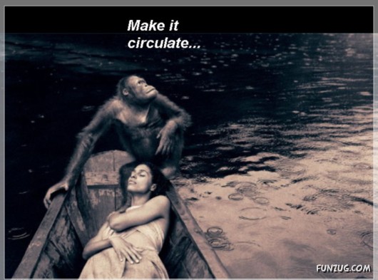 The Theory of Emptiness!