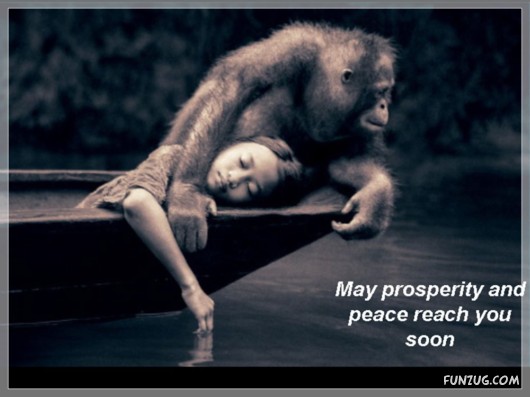 The Theory of Emptiness!