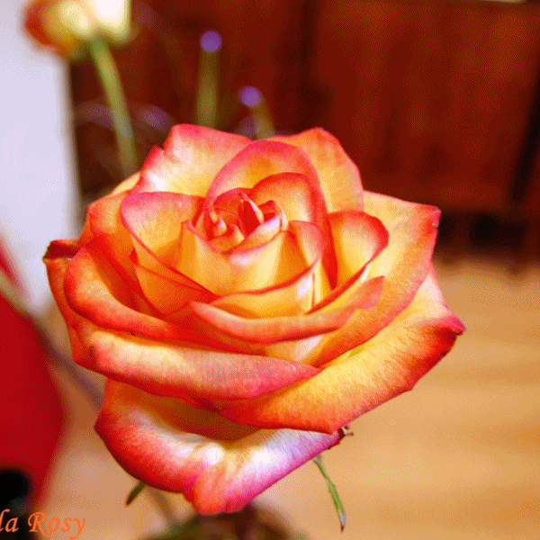 You Are Blessed Always