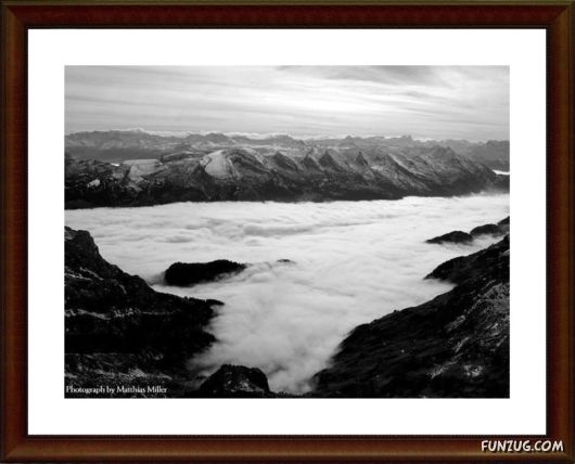 National Geographic's Best Pictures of 2009