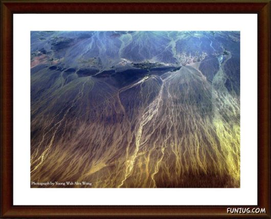 National Geographic's Best Pictures of 2009