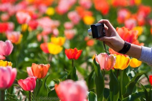 Photographing The Photographers