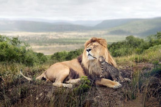 Sony World Photography Awards Shortlist Photos
