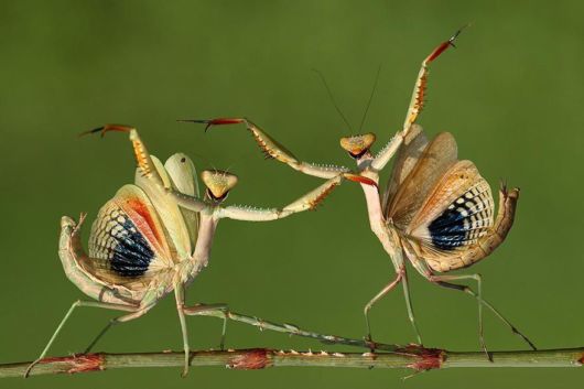 Sony World Photography Awards Shortlist Photos
