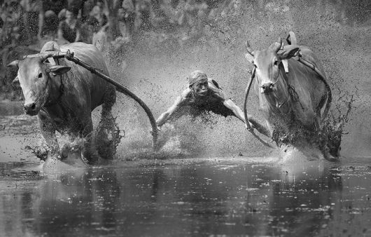 Sony World Photography Awards Shortlist Photos