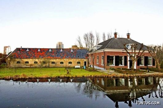 Beautiful Miscellaneous Pictures Of The Day