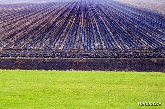 Beautiful Miscellaneous Pictures Of The Day