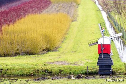 Beautiful Miscellaneous Pictures Of The Day