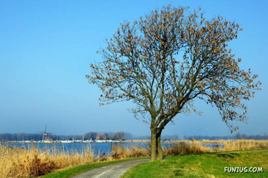 Beautiful Miscellaneous Pictures Of The Day