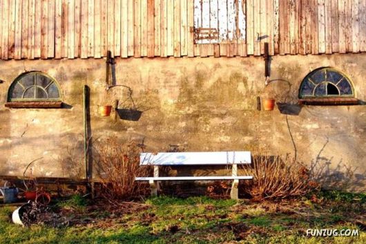 Beautiful Miscellaneous Pictures Of The Day