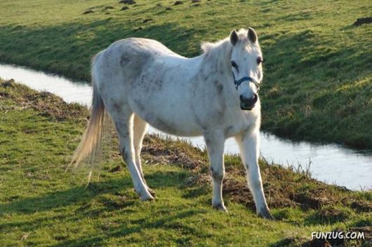 Beautiful Miscellaneous Pictures Of The Day