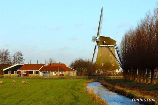 Beautiful Miscellaneous Pictures Of The Day