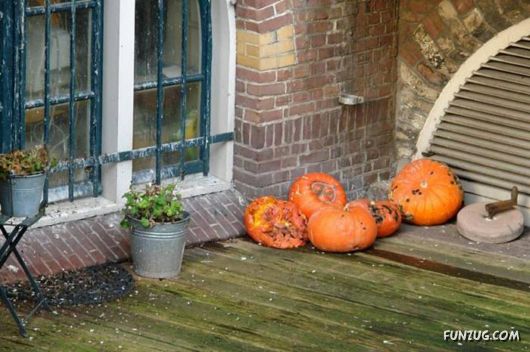 Beautiful Miscellaneous Pictures Of The Day