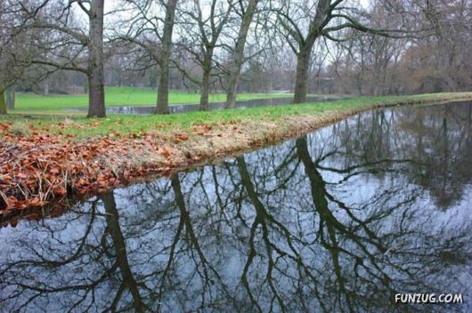 Beautiful Miscellaneous Pictures Of The Day