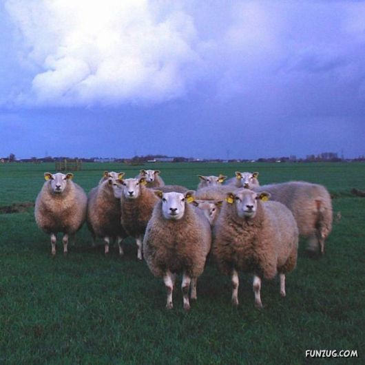 Beautiful Miscellaneous Pictures Of The Day