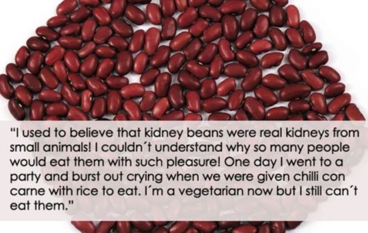 Sampling Of Silly Childhood Beliefs  