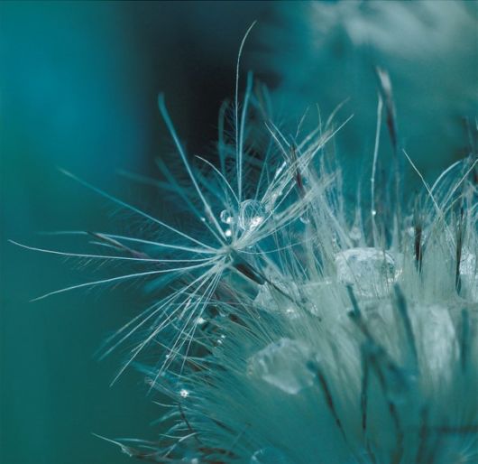 Beauty After The Rain