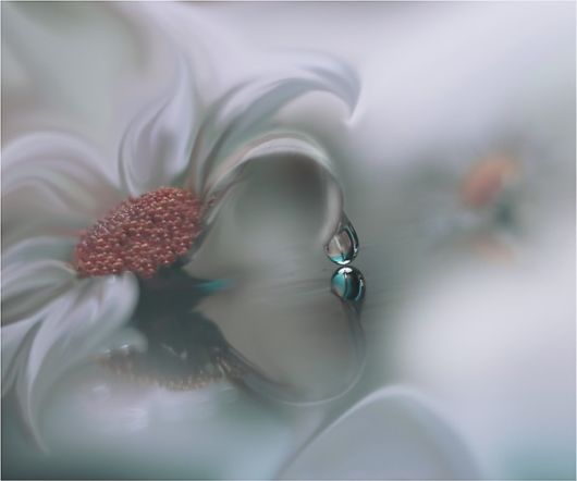 Beauty After The Rain