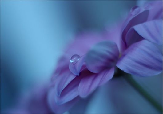 Beauty After The Rain