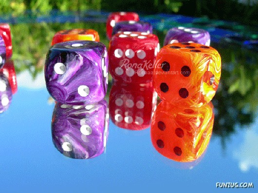 Most Beautiful Reflections Photography