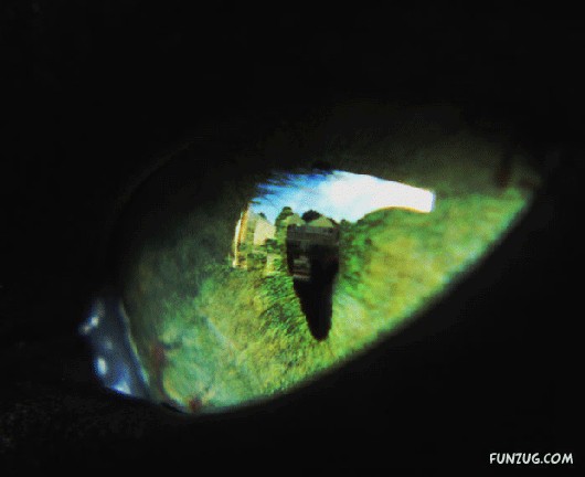 Most Beautiful Reflections Photography