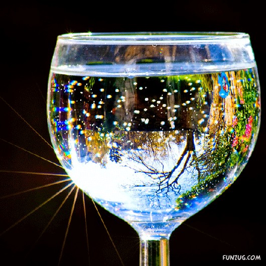 Most Beautiful Reflections Photography