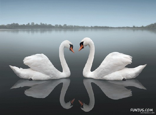 Most Beautiful Reflections Photography