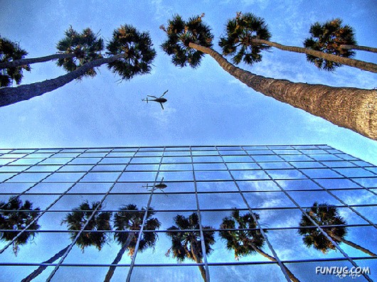 Most Beautiful Reflections Photography