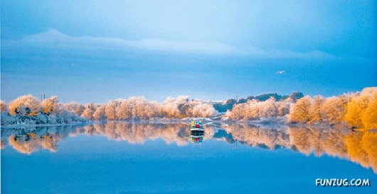 Most Beautiful Reflections Photography