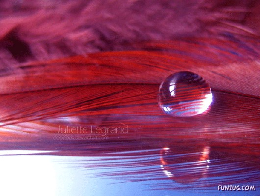 Most Beautiful Reflections Photography