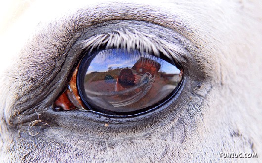 Most Beautiful Reflections Photography