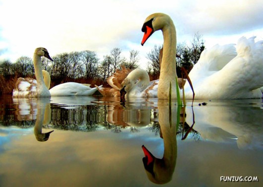 Most Beautiful Reflections Photography