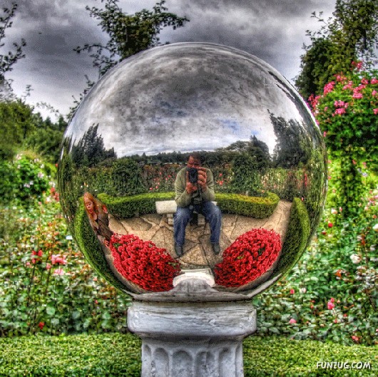 Most Beautiful Reflections Photography