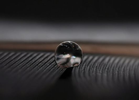 Beautiful Drops of Dew on Plants