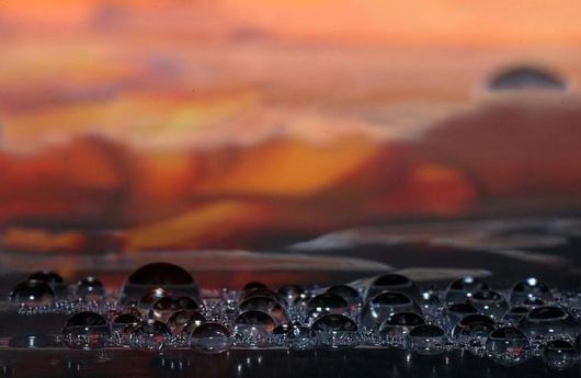 Beautiful Drops of Dew on Plants