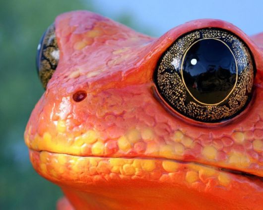 Incredible Moments in Nature Captured in Beautiful Photographs