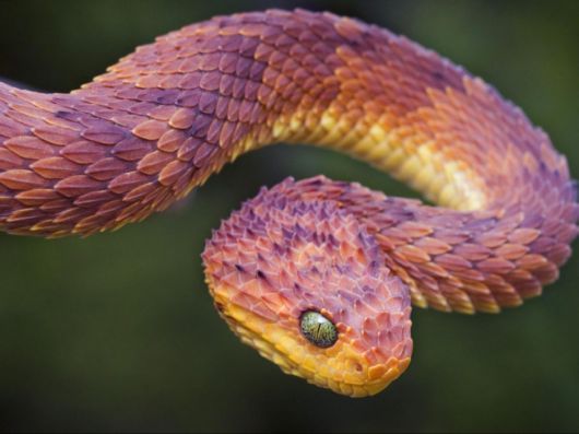 Incredible Moments in Nature Captured in Beautiful Photographs