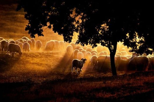 The Most Beautiful Sunsets