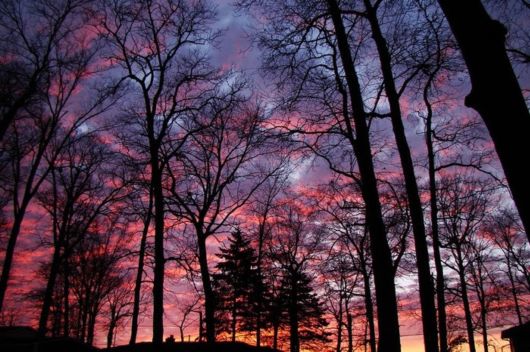 The Most Beautiful Sunsets