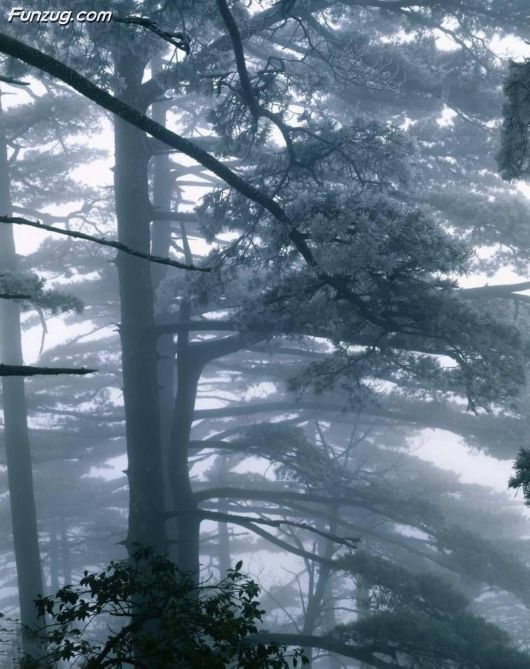 Most Beautiful Mountains Photography