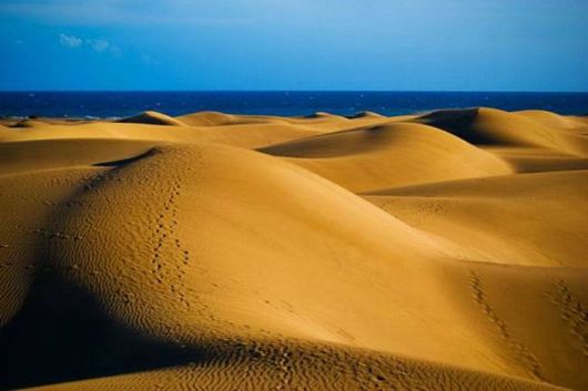 A Whole New World of Nature