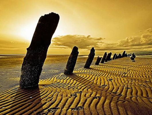 A Whole New World of Nature