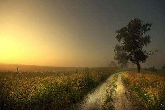 A Whole New World of Nature